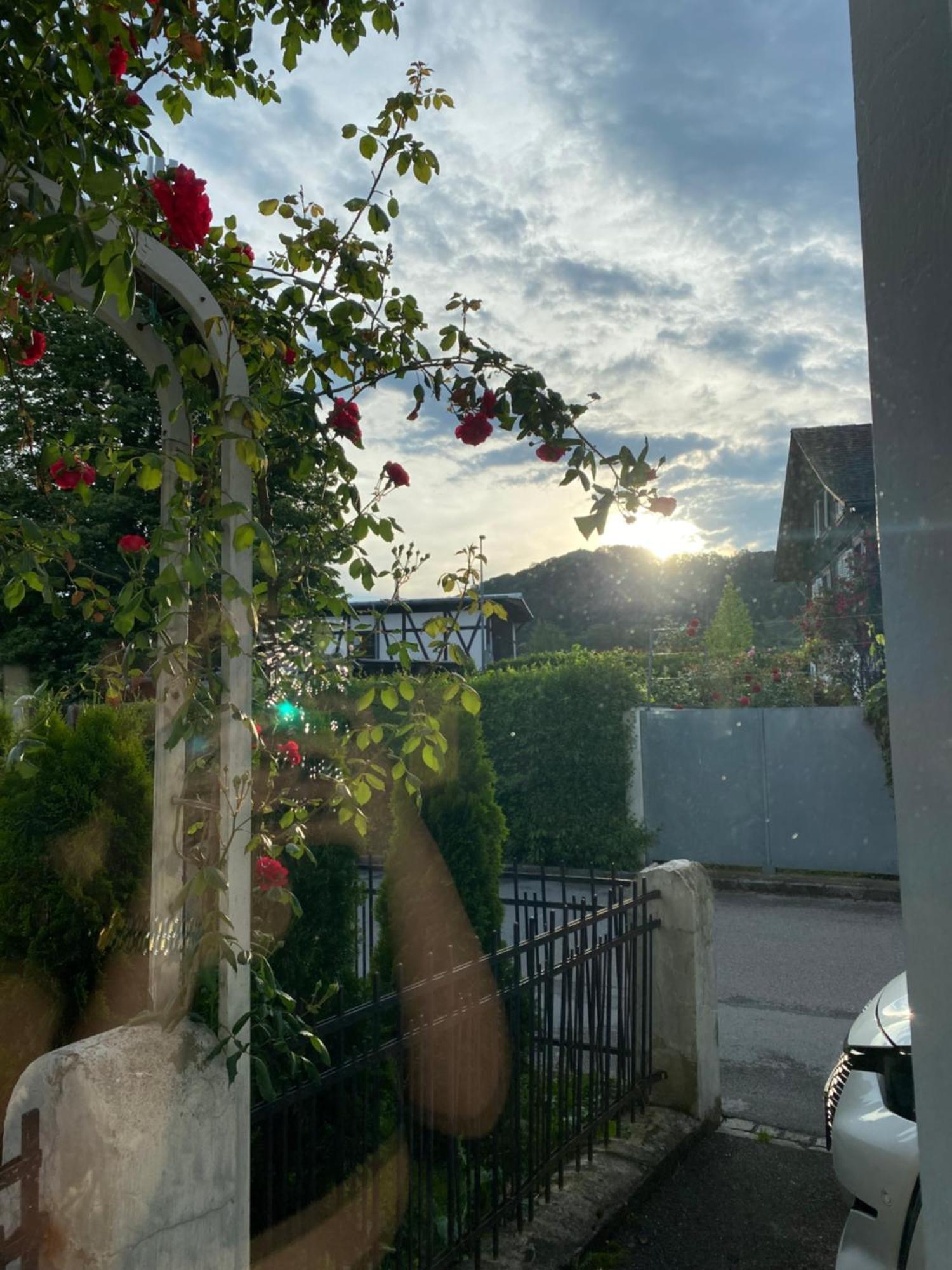 Mia Apartment Lustenau Kültér fotó